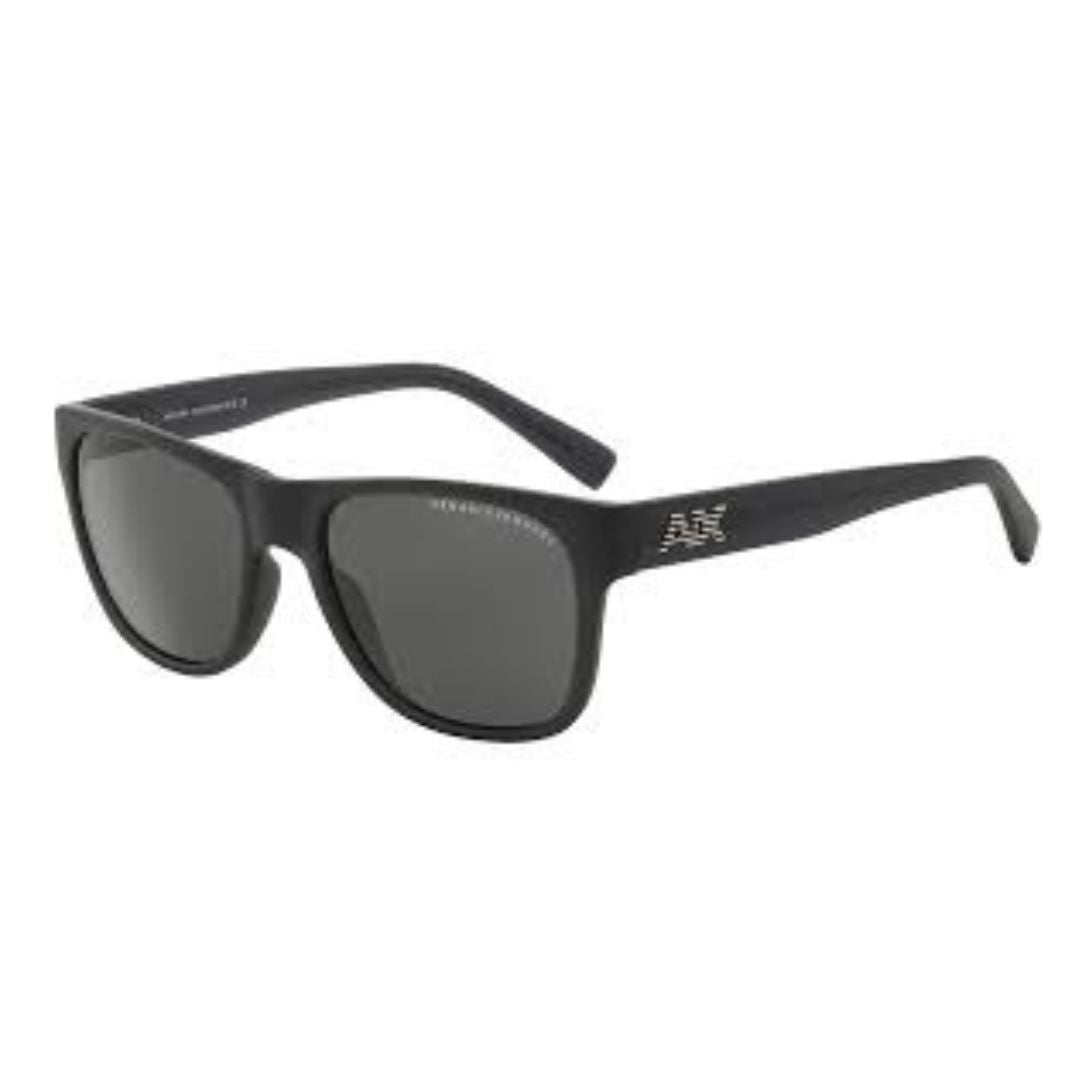 Óculos de Sol Armani Exchange AX 4008 l 8020/87 56 - Ótica Vision Care