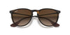 Óculos de Sol Ray-Ban Érika rb4171l 865/13