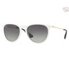 Óculos de Sol Ray-Ban RB4171 631411 54